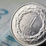 Uomo anziano consulta documenti per la pensione di cittadinanza 2026.