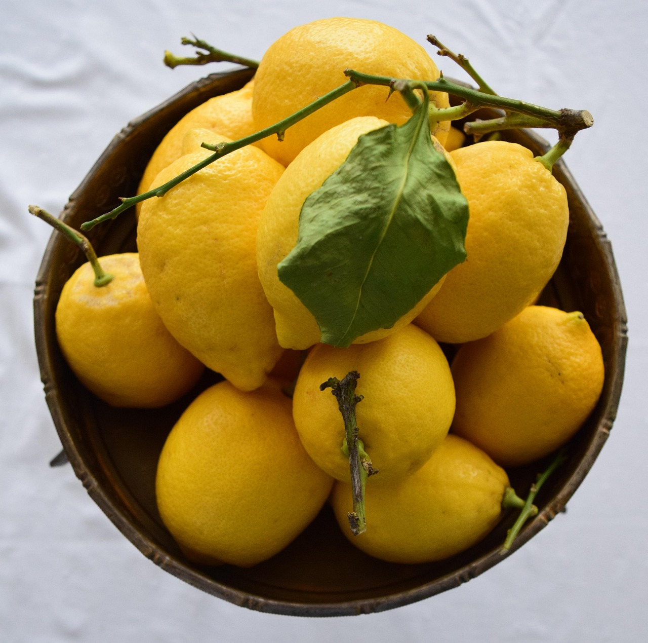 Limoni con foglie gialle, evidenziando il problema e suggerendo possibili errori di coltivazione.